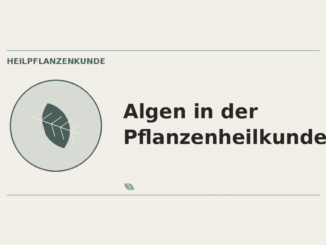 Algen in der Pflanzenheilkunde – Heilpflanzen-Medaillon