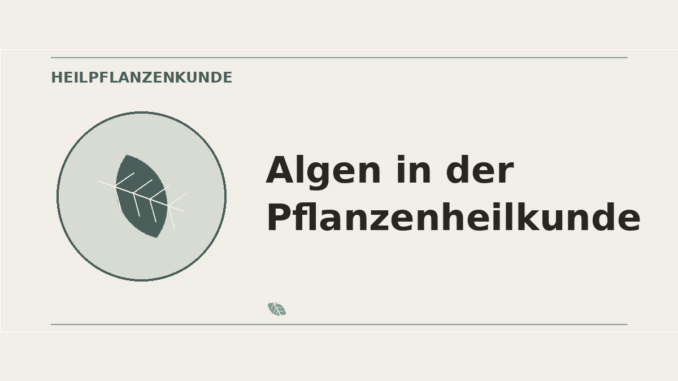 Algen in der Pflanzenheilkunde – Heilpflanzen-Medaillon