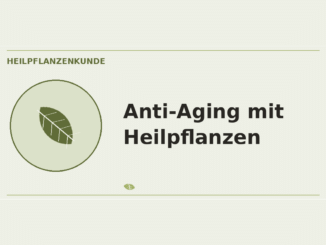 Anti-Aging mit Heilpflanzen – Heilpflanzen-Medaillon
