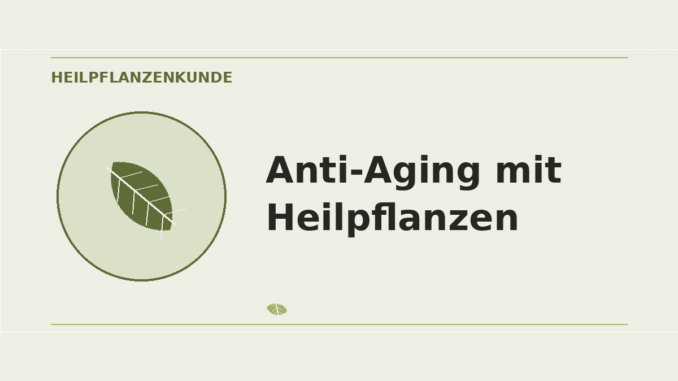 Anti-Aging mit Heilpflanzen – Heilpflanzen-Medaillon