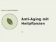 Anti-Aging mit Heilpflanzen – Heilpflanzen-Medaillon