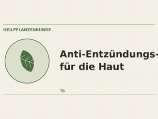 Anti-Entzündungs-Pflanzen für die Haut – Heilpflanzen-Medaillon