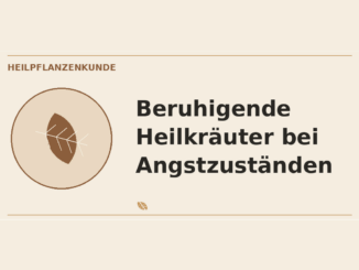 Beruhigende Heilkräuter bei Angstzuständen – Heilpflanzen-Medaillon