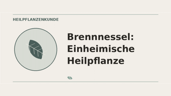 Brennnessel: Einheimische Heilpflanze – Heilpflanzen-Medaillon