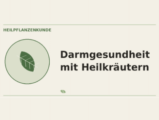 Darmgesundheit mit Heilkräutern – Heilpflanzen-Medaillon