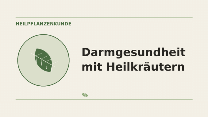 Darmgesundheit mit Heilkräutern – Heilpflanzen-Medaillon