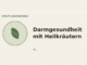 Darmgesundheit mit Heilkräutern – Heilpflanzen-Medaillon