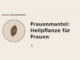 Frauenmantel Heilpflanze für Frauen – Heilpflanzen-Medaillon