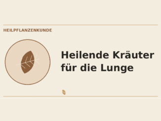 Heilende Kräuter für die Lunge – Heilpflanzen-Medaillon