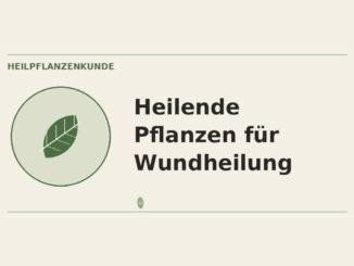 Heilende Pflanzen für Wundheilung – Heilpflanzen-Medaillon