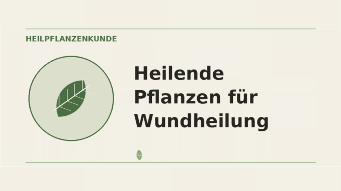 Heilende Pflanzen für Wundheilung – Heilpflanzen-Medaillon