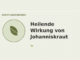Heilende Wirkung von Johanniskraut – Heilpflanzen-Medaillon