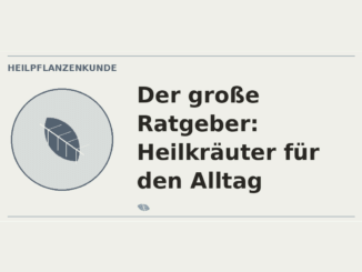 Heilkräuter für den Alltag – Heilpflanzen-Medaillon