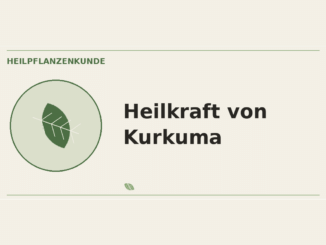 Heilkraft von Kurkuma – Heilpflanzen-Medaillon
