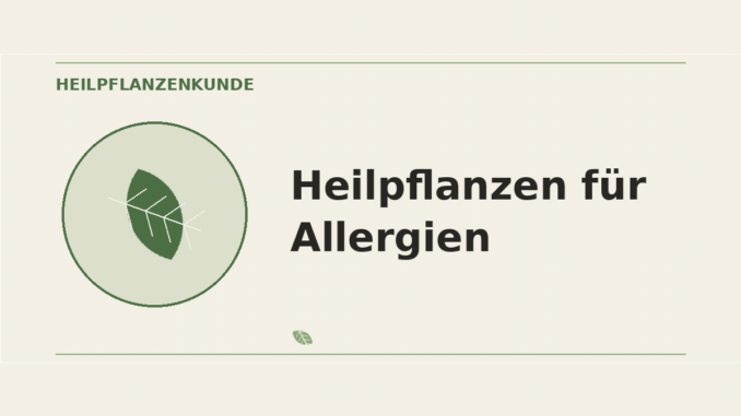 Heilpflanzen für Allergien – Heilpflanzen-Medaillon