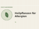 Heilpflanzen für Allergien – Heilpflanzen-Medaillon
