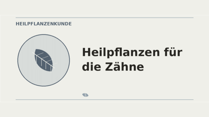 Heilpflanzen für die Zähne – Heilpflanzen-Medaillon