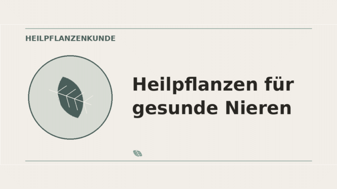 Heilpflanzen für gesunde Nieren – Heilpflanzen-Medaillon