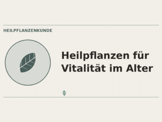 Heilpflanzen für Vitalität im Alter – Heilpflanzen-Medaillon