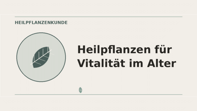 Heilpflanzen für Vitalität im Alter – Heilpflanzen-Medaillon