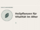 Heilpflanzen für Vitalität im Alter – Heilpflanzen-Medaillon