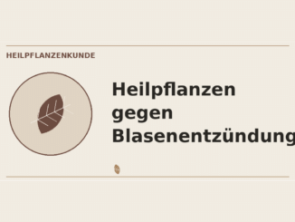Heilpflanzen gegen Blasenentzündungen – Heilpflanzen-Medaillon