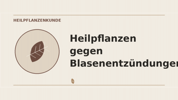 Heilpflanzen gegen Blasenentzündungen – Heilpflanzen-Medaillon