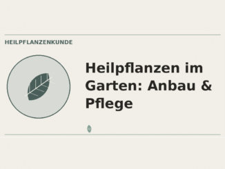 Heilpflanzen im Garten Anbau und Pflege – Heilpflanzen-Medaillon