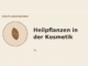 Heilpflanzen in der Kosmetik – Heilpflanzen-Medaillon