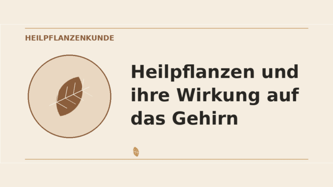 Heilpflanzen Wirkung auf das Gehirn – Heilpflanzen-Medaillon