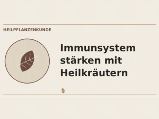 Immunsystem stärken mit Heilkräutern – Heilpflanzen-Medaillon