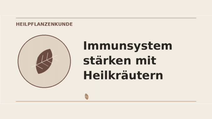 Immunsystem stärken mit Heilkräutern – Heilpflanzen-Medaillon