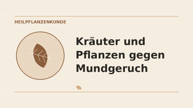 Kräuter und Pflanzen gegen Mundgeruch – Heilpflanzen-Medaillon