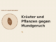 Kräuter und Pflanzen gegen Mundgeruch – Heilpflanzen-Medaillon