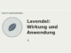 Lavendel Wirkung und Anwendung – Heilpflanzen-Medaillon