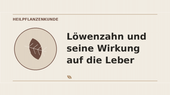 Löwenzahn Wirkung auf die Leber – Heilpflanzen-Medaillon