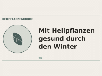 Mit Heilpflanzen gesund durch den Winter – Heilpflanzen-Medaillon