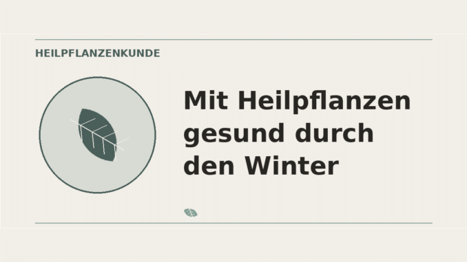 Mit Heilpflanzen gesund durch den Winter – Heilpflanzen-Medaillon