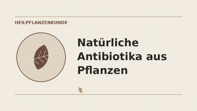 Natürliche Antibiotika aus Pflanzen – Heilpflanzen-Medaillon