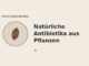 Natürliche Antibiotika aus Pflanzen – Heilpflanzen-Medaillon
