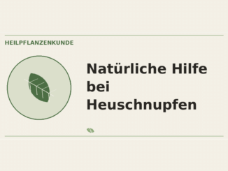 Natürliche Hilfe bei Heuschnupfen – Heilpflanzen-Medaillon