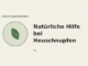 Natürliche Hilfe bei Heuschnupfen – Heilpflanzen-Medaillon