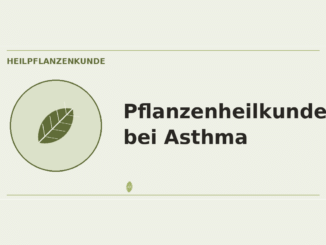 Pflanzenheilkunde bei Asthma – Heilpflanzen-Medaillon