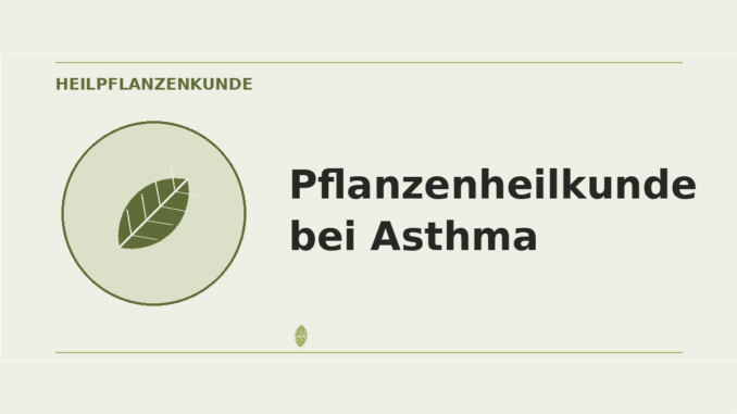 Pflanzenheilkunde bei Asthma – Heilpflanzen-Medaillon
