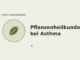 Pflanzenheilkunde bei Asthma – Heilpflanzen-Medaillon