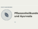 Pflanzenheilkunde und Ayurveda – Heilpflanzen-Medaillon