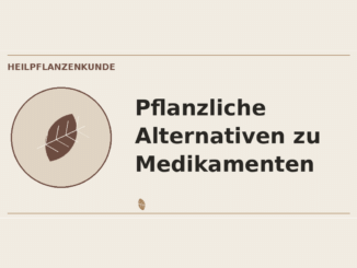 Pflanzliche Alternativen zu Medikamenten – Heilpflanzen-Medaillon
