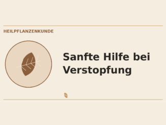 Sanfte Hilfe bei Verstopfung – Heilpflanzen-Medaillon