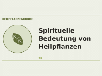 Spirituelle Bedeutung von Heilpflanzen – Heilpflanzen-Medaillon