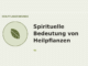 Spirituelle Bedeutung von Heilpflanzen – Heilpflanzen-Medaillon